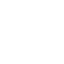 icon rec